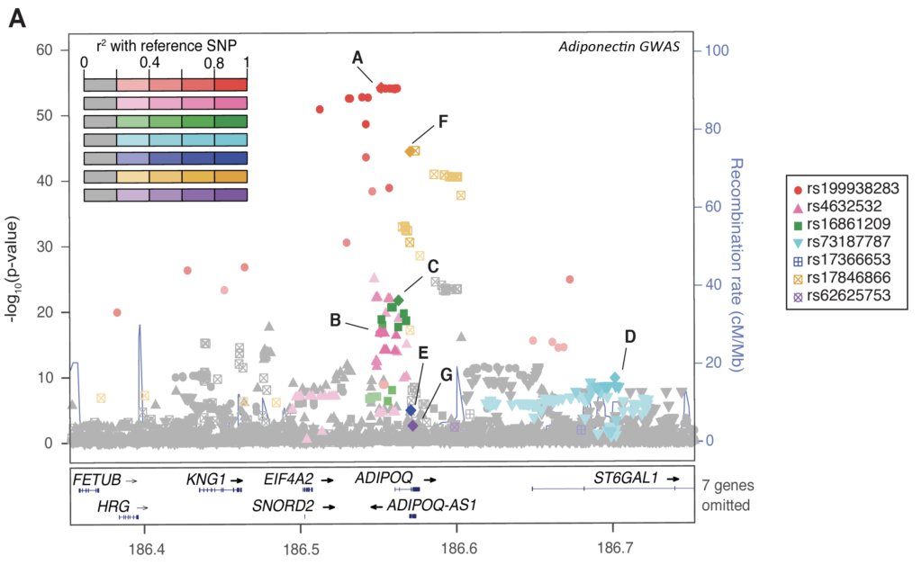 Genetic Epidemiology - the Spracklen Lab